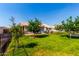 Well-maintained backyard with green lawn, mature trees, and a covered patio area at 8053 E Dover St, Mesa, AZ 85207