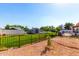 Fenced backyard with lawn, gravel area, and shade trees, offering privacy and space at 8053 E Dover St, Mesa, AZ 85207