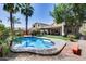 Inviting backyard pool surrounded by mature palm trees and ample patio space for entertaining at 965 E Virgo Pl, Chandler, AZ 85249