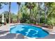 Backyard pool surrounded by palm trees and lush landscaping, perfect for outdoor relaxation at 965 E Virgo Pl, Chandler, AZ 85249