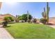Lush backyard featuring cacti and desert landscaping with green grass, and a paver walkway along the house at 1258 E Granada St, Mesa, AZ 85203