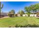 Well-maintained backyard featuring a large grassy area, mature trees, and desert landscaping at 1258 E Granada St, Mesa, AZ 85203