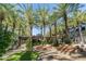Landscaped town center featuring palm trees, seating, and commercial buildings under a bright, sunny sky at 15240 N Clubgate Dr # 168, Scottsdale, AZ 85254