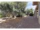 Shaded backyard featuring desert landscaping and a rock feature at 16974 W Marcos De Niza Dr, Surprise, AZ 85387