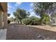 Well-manicured backyard featuring desert landscaping, mature trees, and a rock feature at 16974 W Marcos De Niza Dr, Surprise, AZ 85387