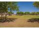 This grassy community field with mature trees offers a large, open space for outdoor activities at 1808 S Sailors Way, Gilbert, AZ 85295