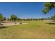 Expansive community park with lush green grass and trees, providing open space for recreation and relaxation at 1808 S Sailors Way, Gilbert, AZ 85295