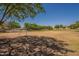 The community soccer field is a large, grassy area with a soccer goal and is surrounded by mature trees at 1808 S Sailors Way, Gilbert, AZ 85295