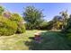 Backyard features manicured lawn and mature trees surrounding a bird bath at 19006 E Karsten Dr, Queen Creek, AZ 85142