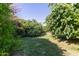 Lush backyard garden area with manicured grass and mature trees at 19006 E Karsten Dr, Queen Creek, AZ 85142