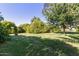Expansive backyard featuring mature trees and lush greenery, perfect for outdoor activities at 19006 E Karsten Dr, Queen Creek, AZ 85142