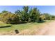 Backyard with mature trees providing ample shade at 19006 E Karsten Dr, Queen Creek, AZ 85142