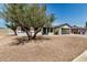 Beautiful home exterior featuring mature trees, a well-maintained lawn, and a welcoming entrance at 2124 E Boston St, Chandler, AZ 85225
