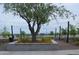 Beautiful community park featuring mature trees, flowering plants and walking trails at 21449 W Mariposa St, Buckeye, AZ 85396