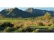 Picturesque golf course surrounded by lush desert landscape and mountain views at 21449 W Mariposa St, Buckeye, AZ 85396