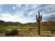 Scenic golf course view with desert landscaping, mountains, blue sky, and a distinctive saguaro cactus at 21449 W Mariposa St, Buckeye, AZ 85396