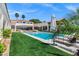 Backyard featuring a pool, patio, green grass, lounge chairs, and surrounding palm trees at 2339 E Virgo Pl, Chandler, AZ 85249