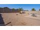 This backyard features gravel landscaping, a privacy fence, a palm tree, and a patio with table at 23676 W Parkway Dr, Buckeye, AZ 85326