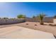 Expansive backyard with desert landscaping, a large concrete patio, block wall and a young palm tree at 23676 W Parkway Dr, Buckeye, AZ 85326