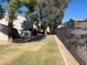 Grassy backyard with trees and a fence, offering privacy and space for outdoor enjoyment at 244 E Ponderosa Ln, Phoenix, AZ 85022