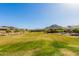 A well-maintained community park features lush green grass and mature trees at 4283 W Nora Dr, San Tan Valley, AZ 85144