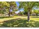 Lush community green space featuring a walking path, manicured lawn, and mature trees at 5111 N 83Rd St, Scottsdale, AZ 85250