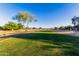 Beautiful lush green golf course surrounded by mature trees on a clear sunny day at 654 E Taylor Trl, San Tan Valley, AZ 85143