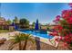 Beautiful pool with umbrellas, palm tree and pink bougainvillea bush on a sunny day at 654 E Taylor Trl, San Tan Valley, AZ 85143