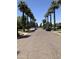 Street with palm trees featuring a scenic neighborhood street with mature palm trees lining the road at 717 W Lynwood St, Phoenix, AZ 85007
