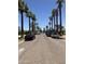 Palm tree lined street with parked vehicles, showcasing a residential neighborhood scene at 717 W Lynwood St, Phoenix, AZ 85007