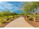 A scenic pathway lined with trees and landscaping offers a tranquil outdoor experience at 9678 W Patrick Ln, Peoria, AZ 85383