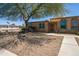 Charming home exterior featuring low-maintenance desert landscaping and mature shade tree at 11141 W Cameo Dr, Sun City, AZ 85351
