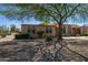 Charming home exterior featuring desert landscaping and mature shade tree at 11141 W Cameo Dr, Sun City, AZ 85351