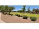 Well-maintained community green space with lush grass, shade trees, and manicured landscaping, creating a tranquil environment at 11303 E Pratt Ave, Mesa, AZ 85212