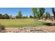 Expansive community green space featuring lush grass, mature trees, and rock landscaping at 11303 E Pratt Ave, Mesa, AZ 85212