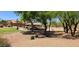 Community park featuring a covered picnic and playground area nestled among mature shade trees and lush landscaping at 11303 E Pratt Ave, Mesa, AZ 85212