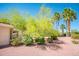 Landscaped backyard featuring desert plants, palm trees, and a decorative rock ground cover at 13444 W Cabrillo Dr, Sun City West, AZ 85375