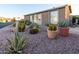 Charming home exterior with desert landscaping, potted plants, and a welcoming entrance at 1640 E Augusta Ave, Chandler, AZ 85249