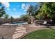 Beautiful pool area with desert landscaping, palm trees, and comfortable seating for outdoor relaxation at 1922 E Everett Dr, Phoenix, AZ 85022