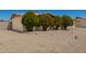 Single-Gathering home boasting a well-maintained xeriscaped front yard and mature trees at 19251 N 17Th Dr, Phoenix, AZ 85027