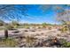 Scenic desert landscape with native plants and walking paths at 19475 N Grayhawk Dr # 1039, Scottsdale, AZ 85255