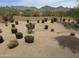 Expansive backyard featuring desert landscaping, views, and a block wall at 19475 N Grayhawk Dr # 1115, Scottsdale, AZ 85255