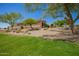 Expansive backyard showcasing desert landscaping, with a large tree providing shade and a well-maintained lawn at 22304 N 104Th Ln, Peoria, AZ 85383
