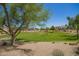 Well-maintained neighborhood park features lush green grass, mature trees, and recreational area for community members at 22304 N 104Th Ln, Peoria, AZ 85383
