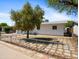 The backyard has a white exterior, window, tree, a chain-link fence, and a brick-lined walkway at 2834 E Michael Dr, Phoenix, AZ 85032