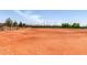 Wide view of baseball field including batter's box and base lines showcasing community athletic space at 2910 S Olivewood --, Mesa, AZ 85212
