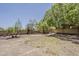 Spacious backyard showcases lush trees, brick wall, and desert landscaping at 4627 E Mcneil St, Phoenix, AZ 85044