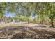 Lush backyard view showcases mature trees, desert landscaping, in-ground pool, and brick wall at 4627 E Mcneil St, Phoenix, AZ 85044