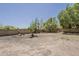 Spacious backyard with a brick wall, filled with lush trees and a clean desert landscape at 4627 E Mcneil St, Phoenix, AZ 85044