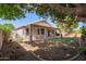 The backyard is framed by mature trees and features a covered patio, perfect for outdoor relaxation at 4911 E Holmes Ave, Mesa, AZ 85206